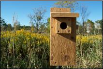 Eastern bluebirds require a 1 1/2" entrance hole